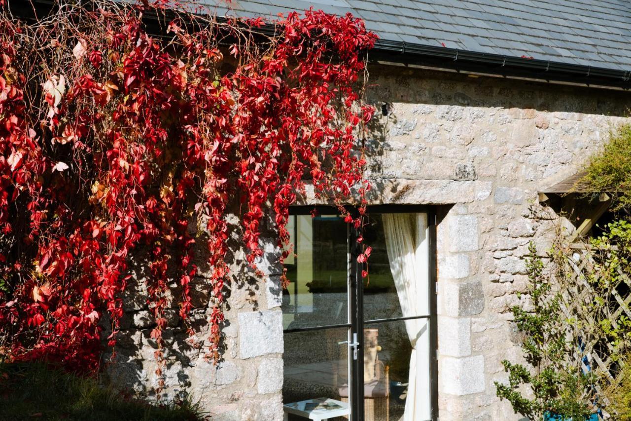 Higher Weddicott Barn Holiday Cottage - Self Catering Chagford Exteriör bild